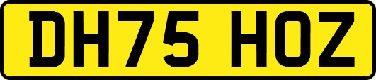 DH75HOZ