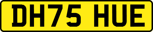 DH75HUE