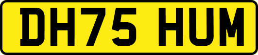 DH75HUM