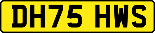 DH75HWS