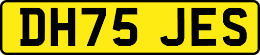 DH75JES