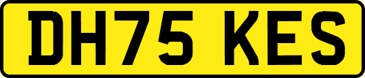 DH75KES