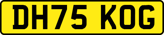 DH75KOG