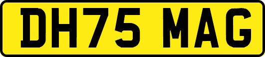 DH75MAG