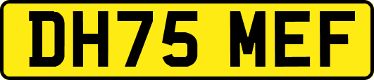 DH75MEF