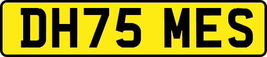 DH75MES