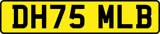 DH75MLB