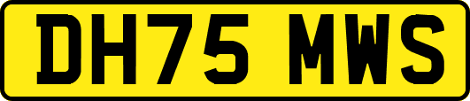DH75MWS