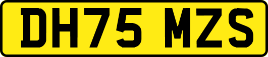DH75MZS