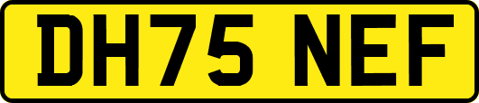 DH75NEF
