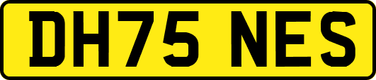 DH75NES