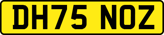 DH75NOZ