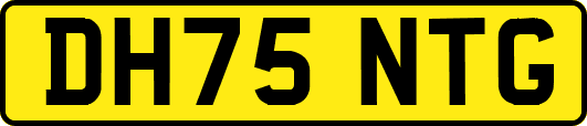 DH75NTG