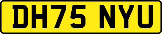 DH75NYU