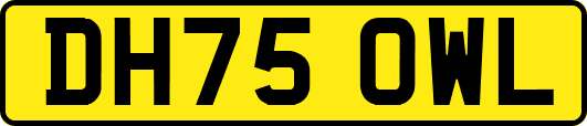 DH75OWL