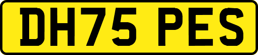 DH75PES