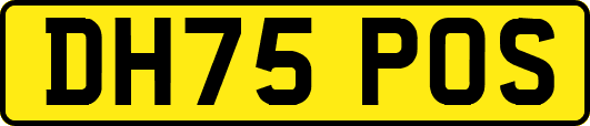 DH75POS