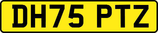 DH75PTZ