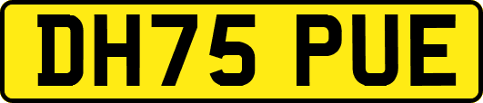DH75PUE