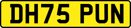 DH75PUN