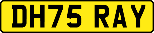 DH75RAY