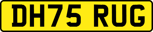 DH75RUG