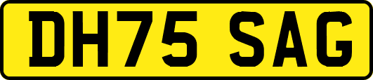 DH75SAG