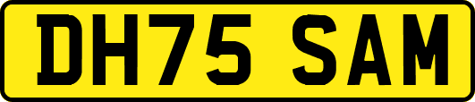 DH75SAM