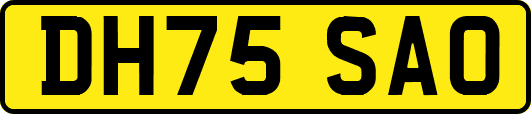 DH75SAO