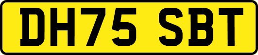 DH75SBT