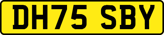 DH75SBY