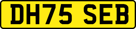 DH75SEB