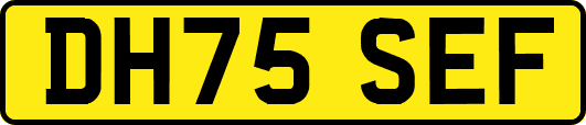 DH75SEF