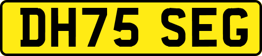 DH75SEG