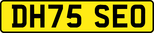 DH75SEO