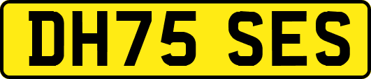 DH75SES
