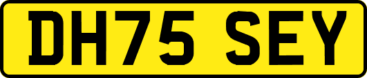 DH75SEY