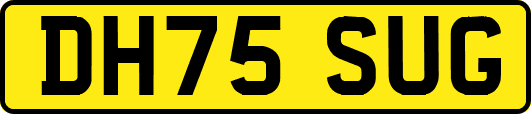 DH75SUG
