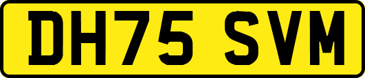 DH75SVM