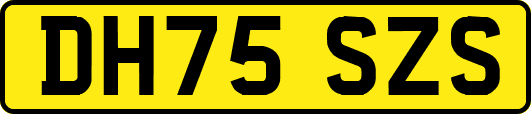 DH75SZS