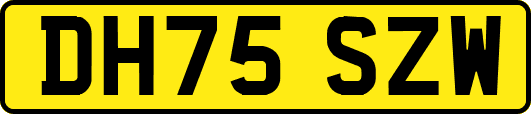 DH75SZW