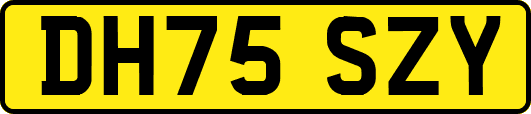 DH75SZY