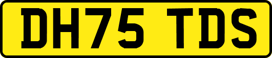 DH75TDS