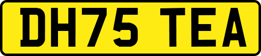 DH75TEA