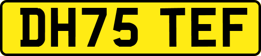 DH75TEF