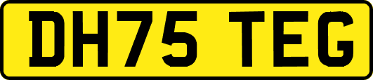 DH75TEG