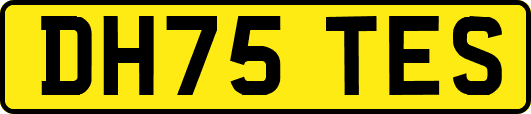 DH75TES