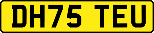 DH75TEU