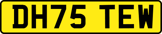 DH75TEW