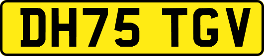 DH75TGV